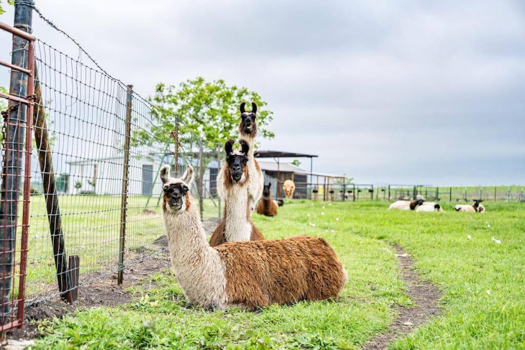 Silo House At Laughing Llama Farm Troy Buitenkant foto