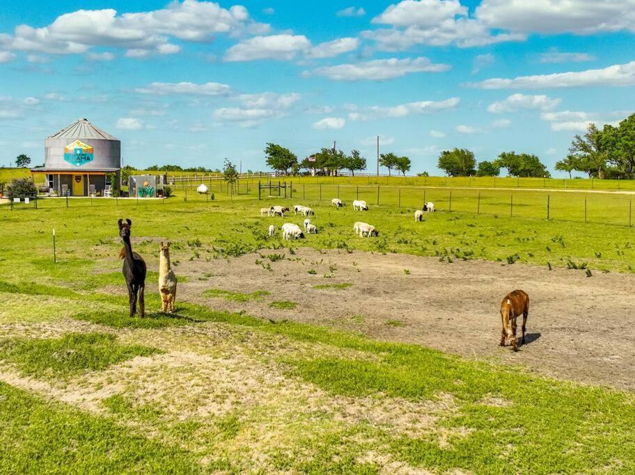 Silo House At Laughing Llama Farm Troy Buitenkant foto
