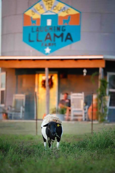Silo House At Laughing Llama Farm Troy Buitenkant foto